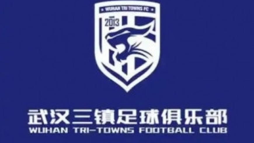 华为比亚迪特斯拉齐聚机器人赛道,2025年澳门正版资料大全酷知网,创造力策略实施推广_钱包版V10.95