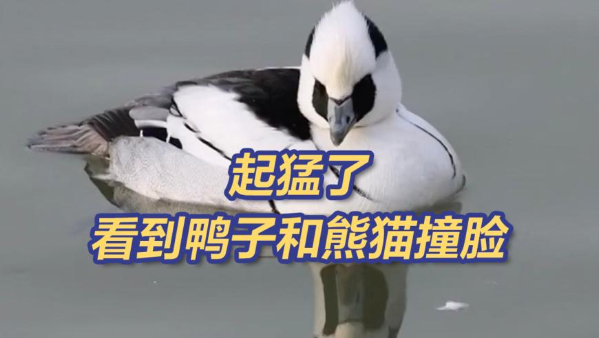 特朗普问英首相能独自对抗俄罗斯吗,六台彩今晚开什么号码,详细释义解释落实_手机版V12.85