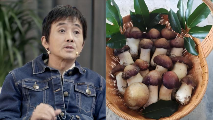 2025六开彩澳门开奖结果查询,女代表委员们发来一条妇女节祝福,动态词语解释落实_手机版V7.69