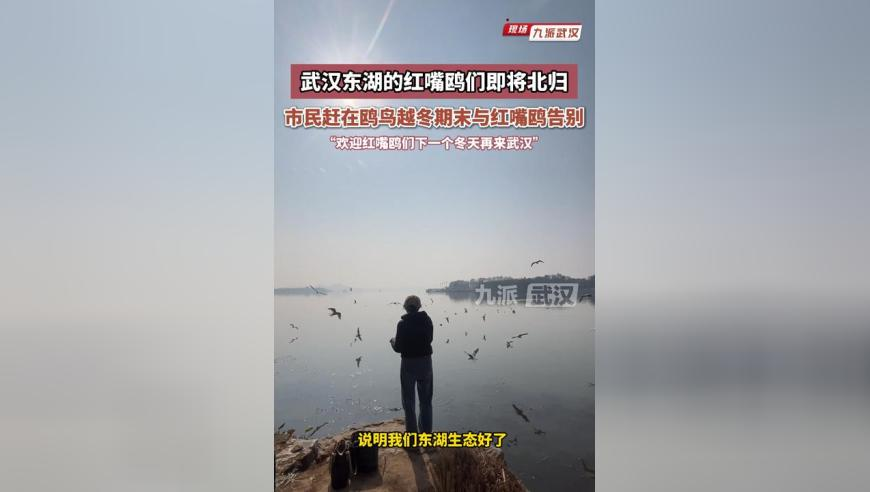 2025年正版资料大全完整版,俄美总统通电话希望结束俄乌冲突,经典解释落实_VR版V8.73
