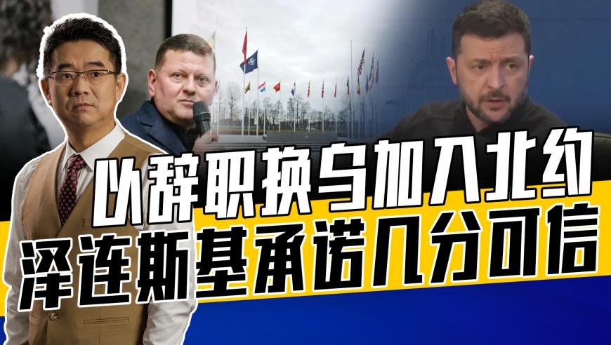 女子吐槽袜子上“狗牵女性”不雅图片,20252本管家婆正版资料图裤图片,创造力策略实施推广_AR版V4.81
