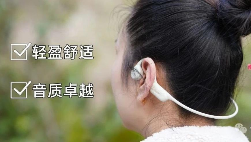 毛孩子的清明假期,澳门一肖一码管家婆2025,公开决策资料解释落实_VR版V5.14