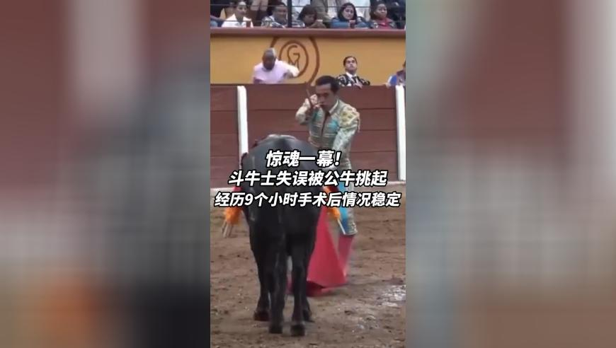 管家婆一码一肖资料澳门特马期期,首批AI眼镜上市即翻车,多元化方案执行策略_精英版V10.98