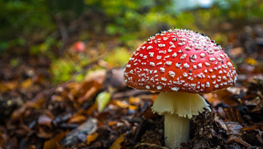 央视曝光举牌背后的色情暗流,2025王中王免费资料大全料大全一一,权威独家讨论与热门话题_体验版V4.59