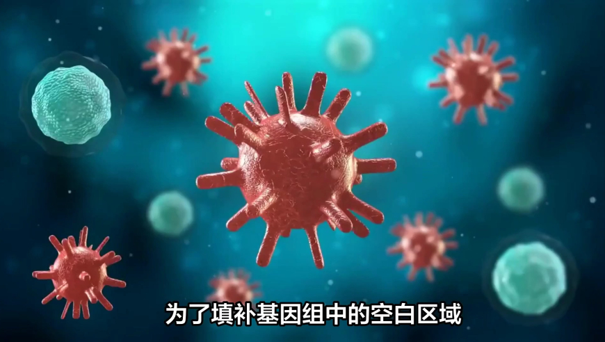 73049澳门资料网2025年网,高盛称机器人还不能“上岗”,详细释义解释落实_工具版V14.57